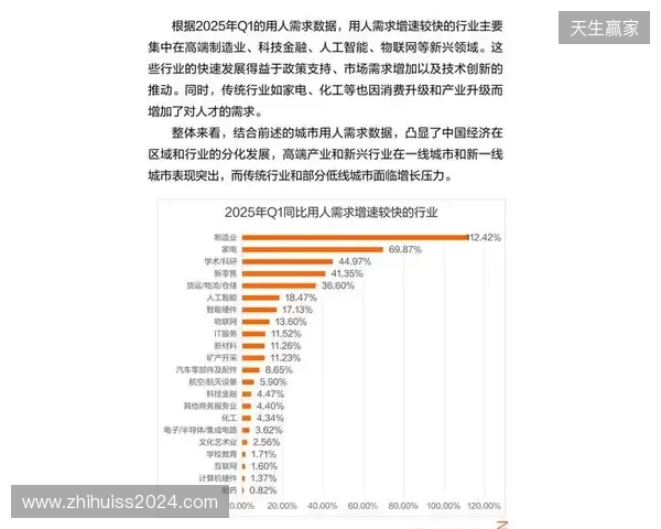 2025年12月虚拟局域网游戏联机方案综合评估报告